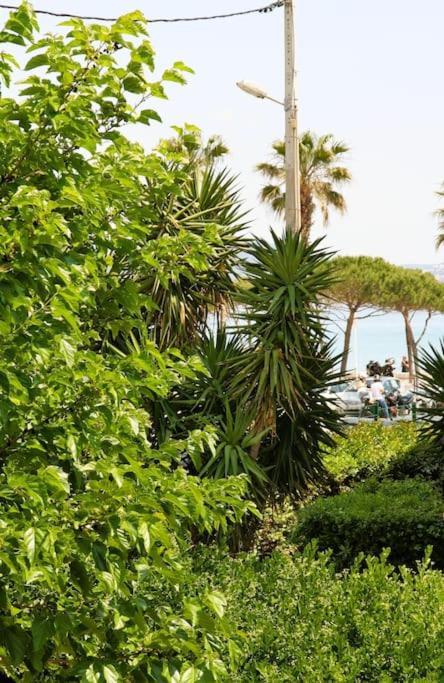 Blue Summer Vibes Duplex Studio For 4P, Ac, Sea View, Parking, Beach At 50M, Spa Access -3 ลาซิโอตาต์ ภายนอก รูปภาพ